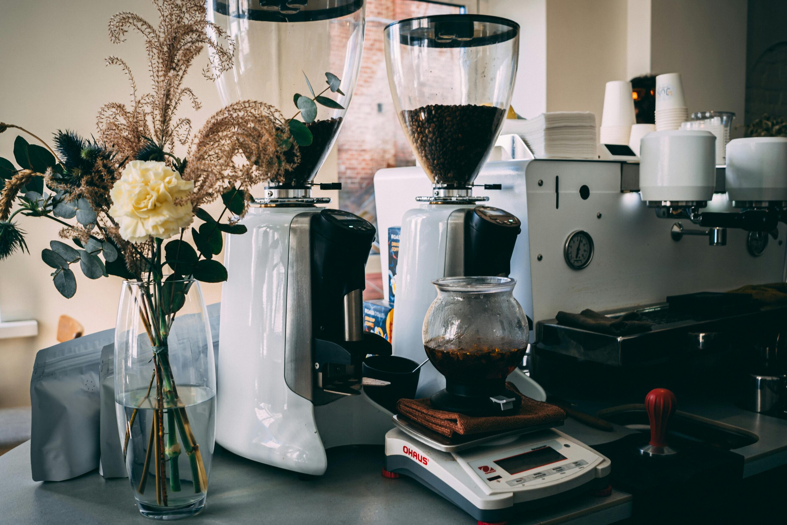 pexels-arti-16627280