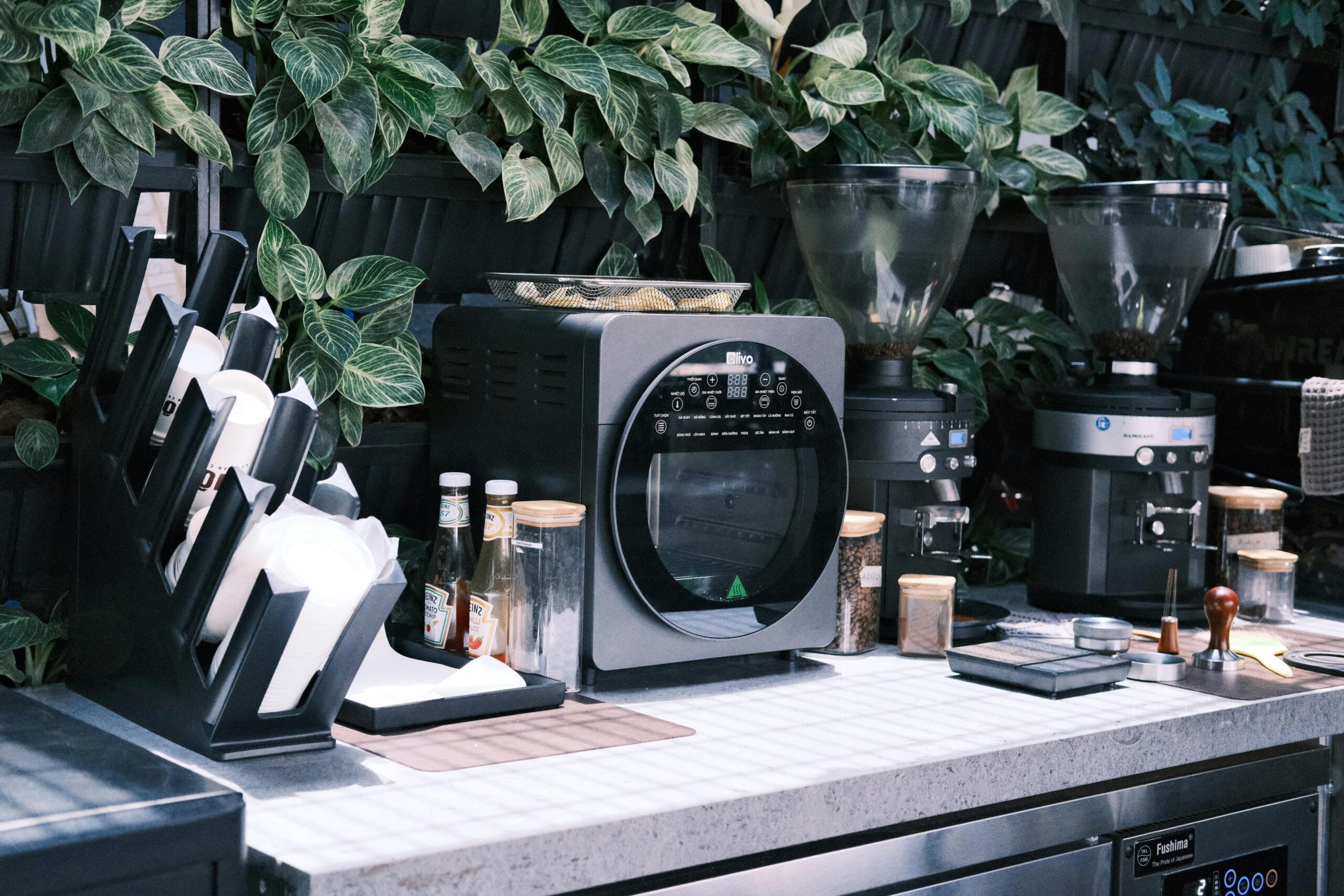 pexels-hoinommm-27858794